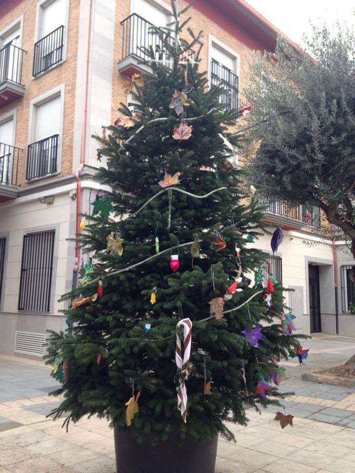 arbol1
