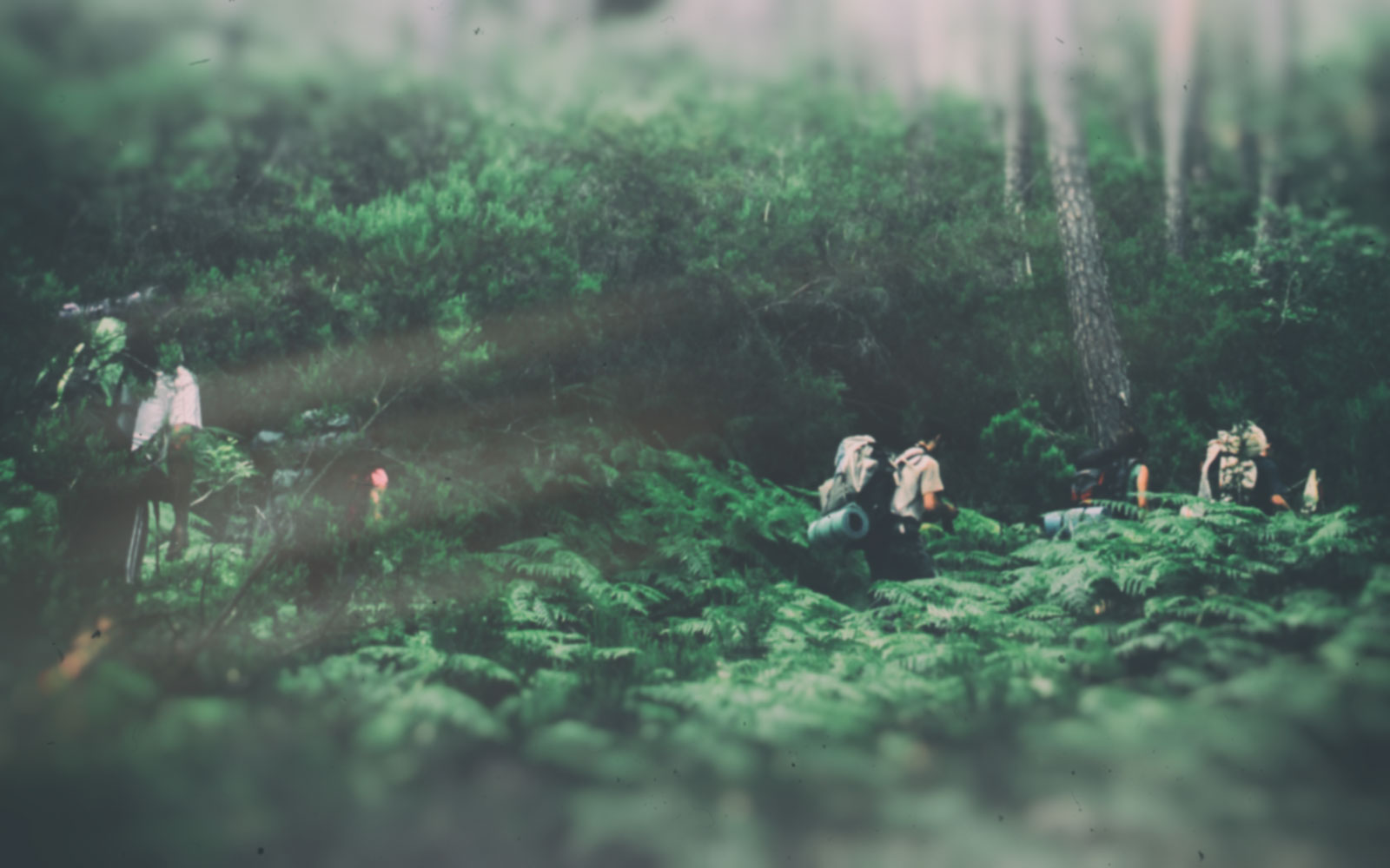 Home Fullscreen Niebla2