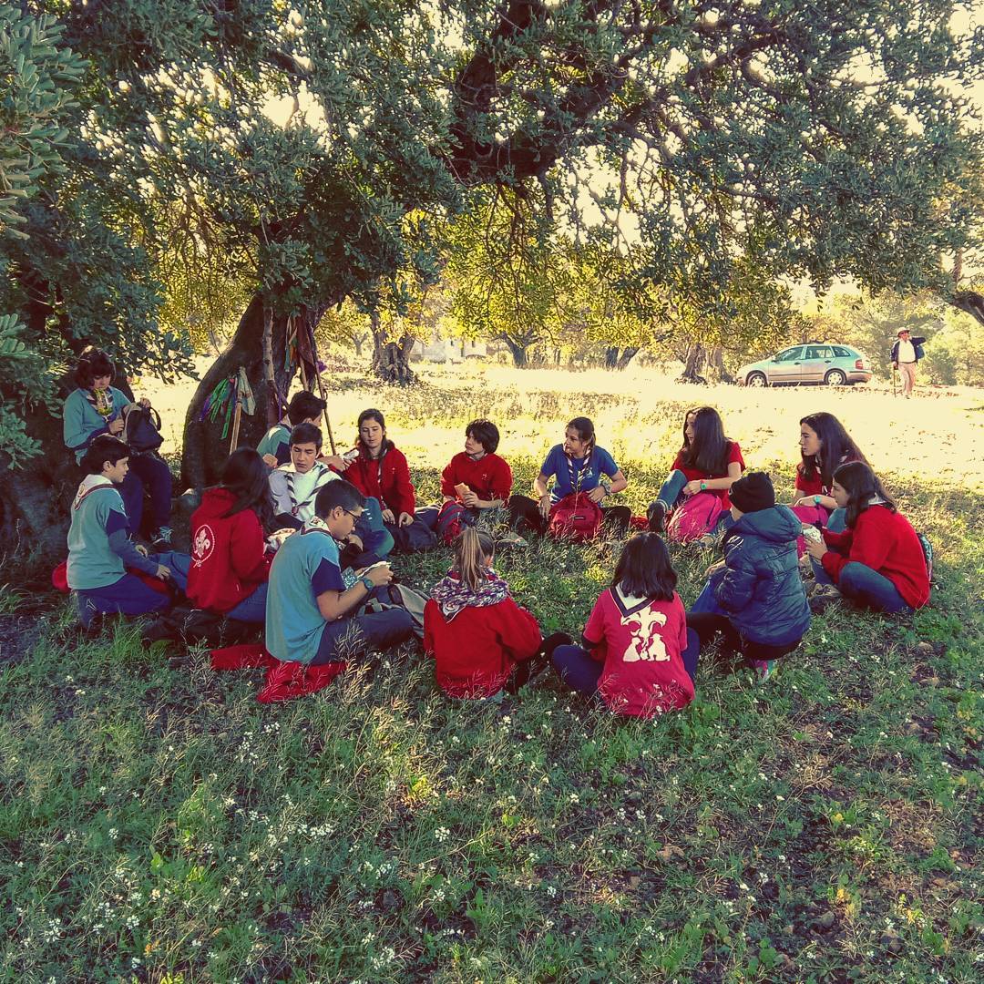 Resolución de conflictos